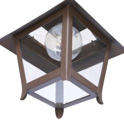 DFL-008_NATU-1