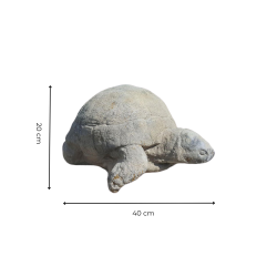 Materials of yesteryear: TURTLE LARGE MODEL