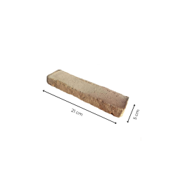 Matériaux d'Antan : BRIQUETTE 21x5x3