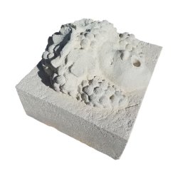 FODPD-001-1